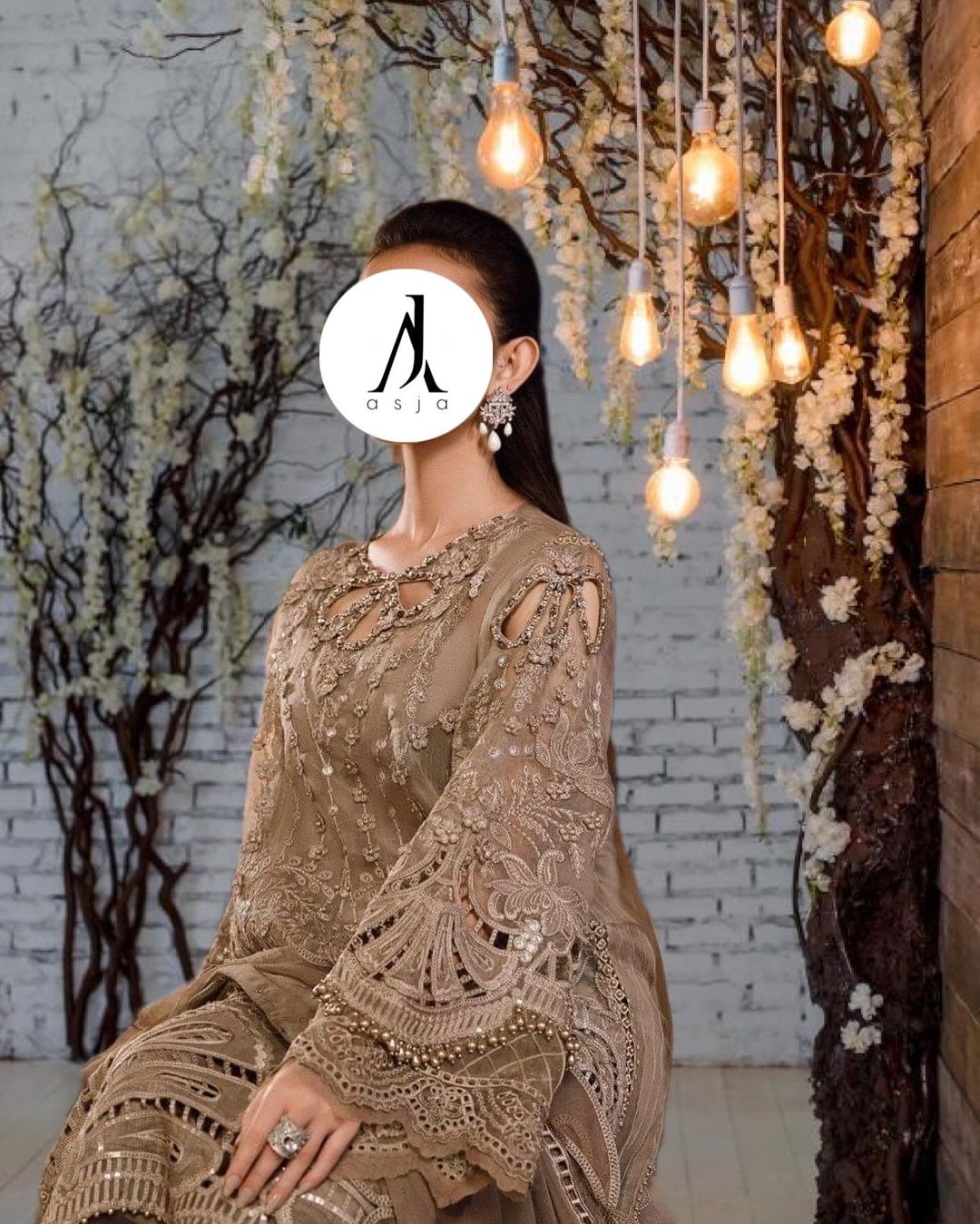 Punjabi-für Party( پنجابی محفلی )